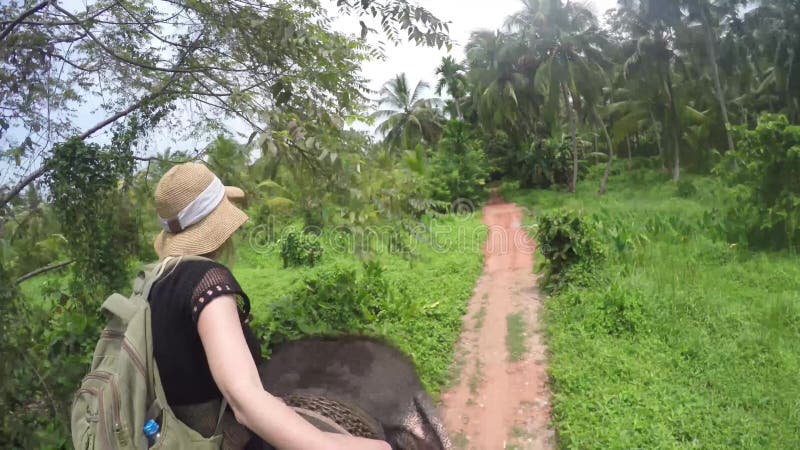 La jeune fille européenne est assis à cheval sur un éléphant pieds nus dans la jungle du Sri Lanka