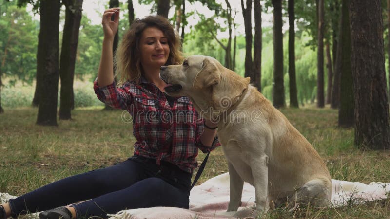 La jeune fille frotte Labrador dans la forêt