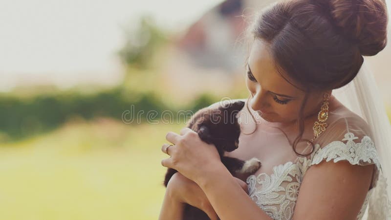 La jeune mariée avec du charme de brune tient d'une manière émouvante un petit chaton dans des ses bras Le moment du jour du mari