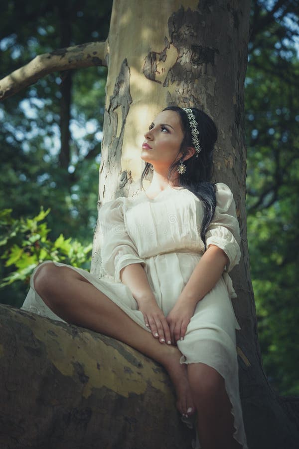 La jolie jeune femme dans la robe romantique s'asseyent sur l'arbre en bois photo stock La jolie jeune femme dans la robe romantique s'asseyent sur l'arbre en bois photo stock