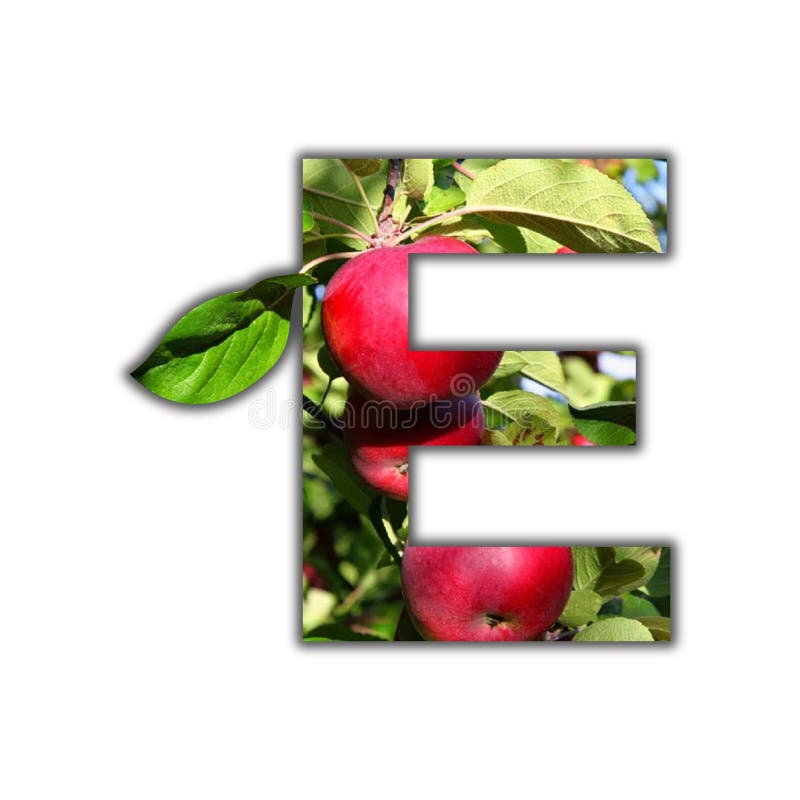 Fruit Commencant Par La Lettre E Alphabet De Fruit, La Lettre D Photo stock - Image du configuration