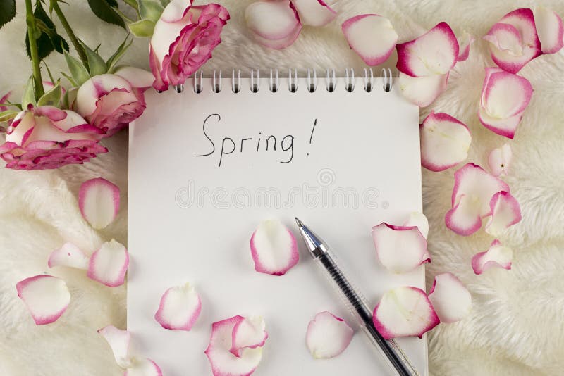 La libreta con la primavera de la inscripción, pétalos color de rosa, rosas, encierra natural fotos de archivo libres de regalías La libreta con la primavera de la inscripción, pétalos color de rosa, rosas, encierra natural fotos de archivo libres de regalías
