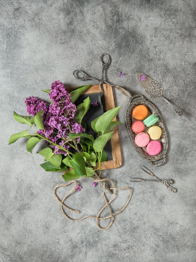 La lila de las galletas de los macarrones todavía florece vida del vintage de la decoración fotografía de archivo libre de regalías La lila de las galletas de los macarrones todavía florece vida del vintage de la decoración fotografía de archivo libre de regalías