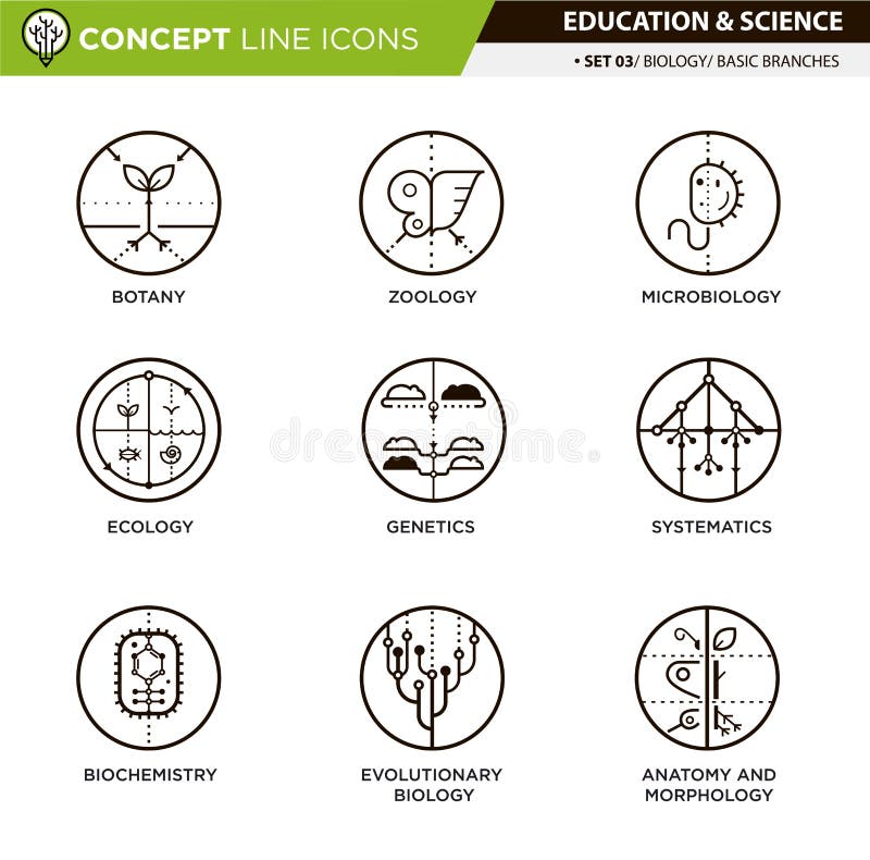 La linea icone di concetto ha fissato la biologia 2 illustrazione di stock La linea icone di concetto ha fissato la biologia 2 illustrazione di stock