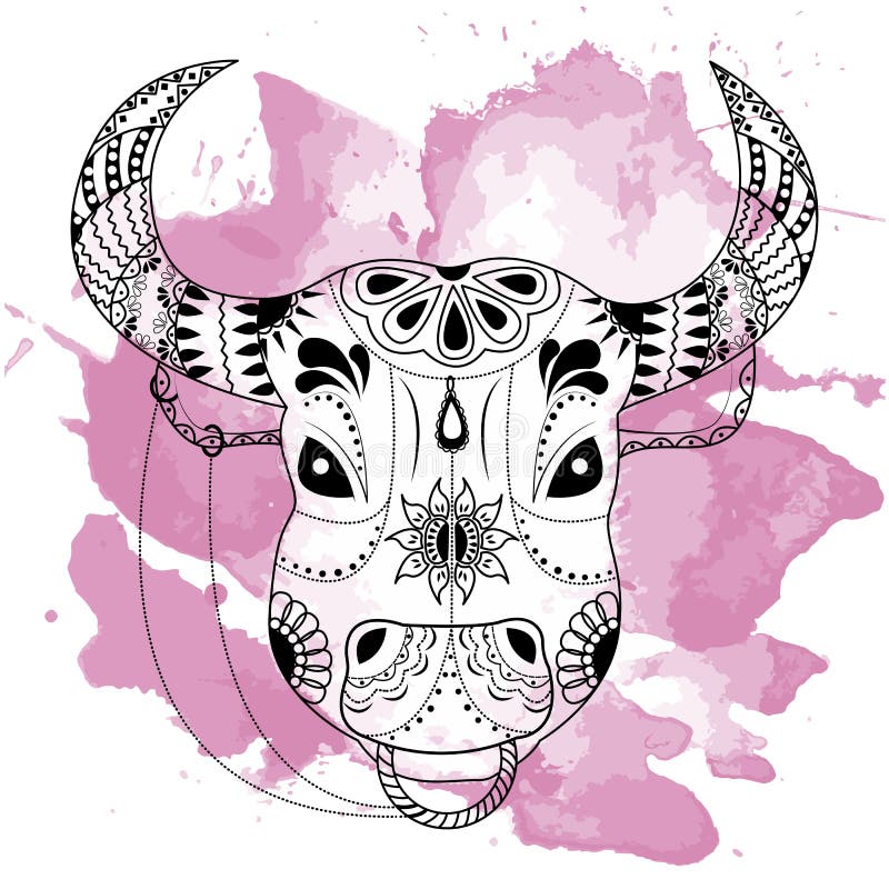La linea mano di arte che disegna il toro nero isolato su fondo bianco con l'acquerello rosa macchia Stile di Dudling E Zenart illustrazione vettoriale