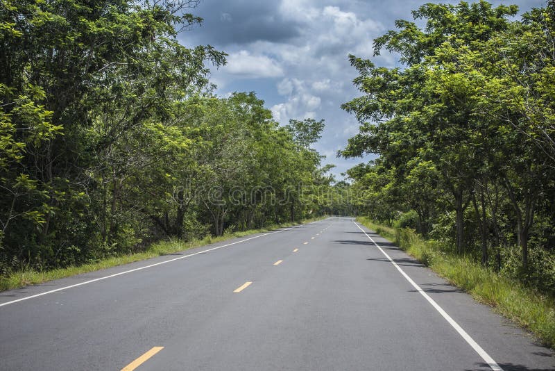 Driving on the long Road in nature. Driving on the long Road in nature