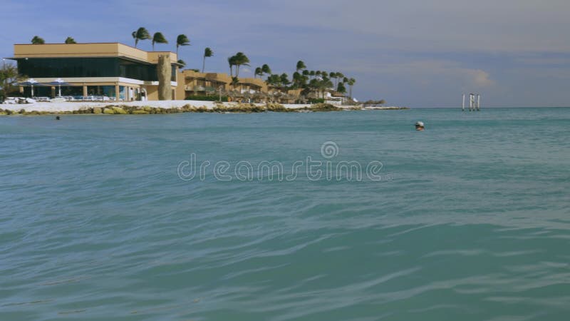 La magnifique plage d'aigle de beauté de l'île d'Aruba La plage de la mer des Caraïbes