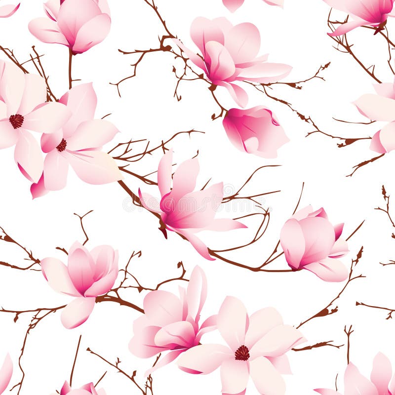 La magnolia delicada florece el modelo inconsútil del vector