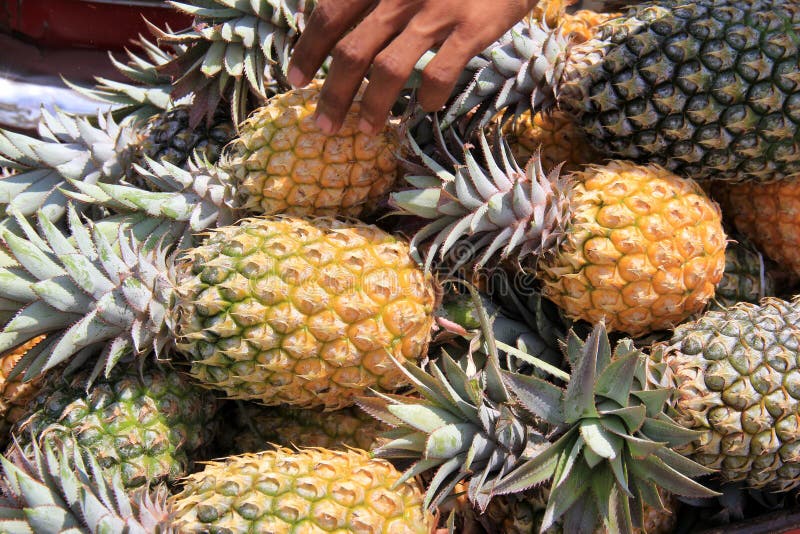 La main de l'homme atteignant pour les ananas frais et juteux photographie stock libre de droits La main de l'homme atteignant pour les ananas frais et juteux photographie stock libre de droits