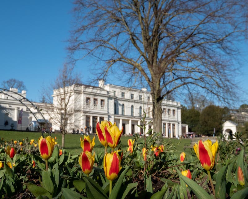 Newly renovated Gunnersbury Park and Museum on the Gunnersbury Estate, once owned by the Rothschild family, now owned by Hounslow and Ealing Councils. Tulips in foreground. Newly renovated Gunnersbury Park and Museum on the Gunnersbury Estate, once owned by the Rothschild family, now owned by Hounslow and Ealing Councils. Tulips in foreground.