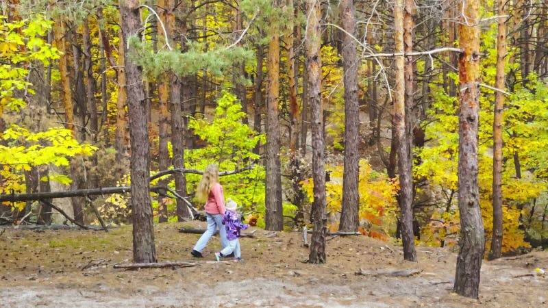 La mamma di una bambina felice gioca insieme tenendo la mano all'aperto in autunno. Madre madre di famiglia attiva nel parco. Fami stock footage
