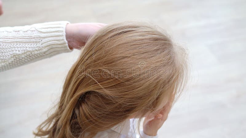 La mamma spruzza i capelli della figlia studentessa, vuol dire pettinarli facilmente. video d archivio