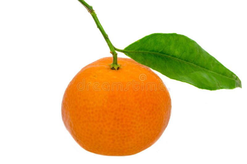 La mandarina (reticulata de la fruta cítrica), también conocida como el mandarín o el mandarín, fondo aislado, blanco imagen de archivo libre de regalías La mandarina (reticulata de la fruta cítrica), también conocida como el mandarín o el mandarín, fondo aislado, blanco imagen de archivo libre de regalías