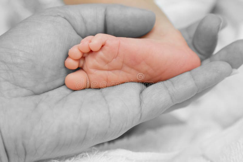 Mother's hand holding feet of new born baby, touch of love. Mother's hand holding feet of new born baby, touch of love