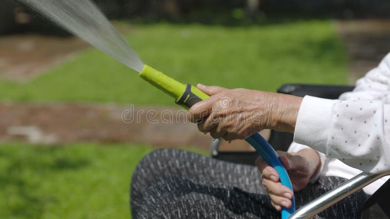 La mano de la mujer senior que sostiene el pulverizador de manguera y plantas de riego en el patio trasero almacen de metraje de vídeo