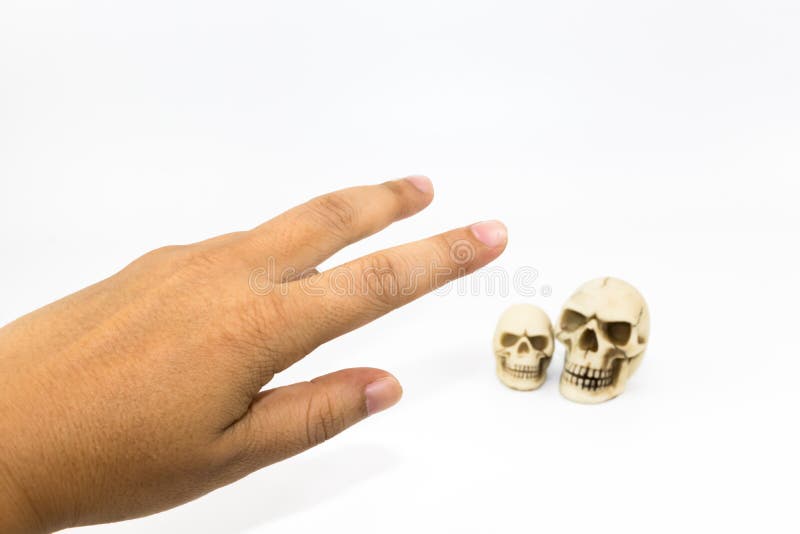 La mano del ` s del hombre está alcanzando para coger el pequeño cráneo foto de archivo libre de regalías La mano del ` s del hombre está alcanzando para coger el pequeño cráneo foto de archivo libre de regalías