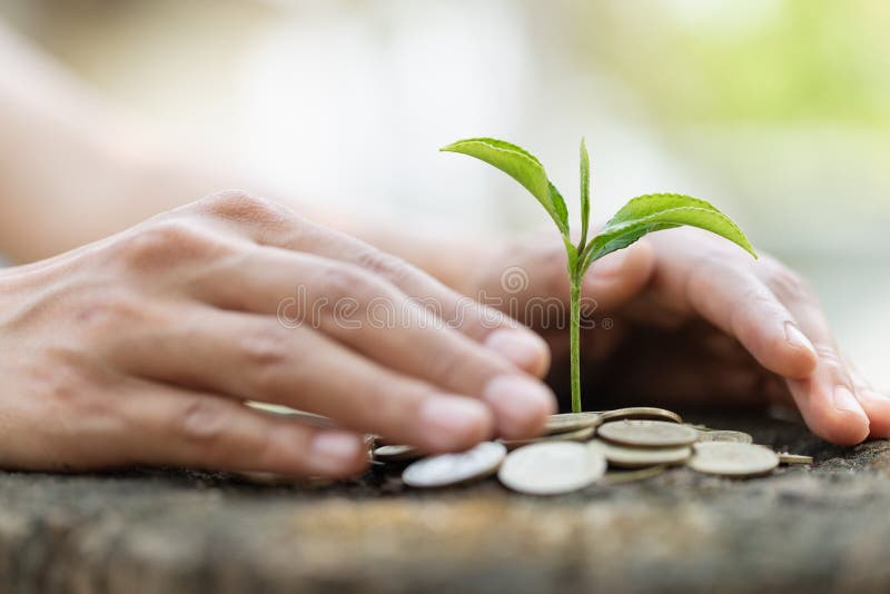 la mano protegge la pila dei soldi con la pianta che cresce sulle monete monete di risparmio dei soldi, mani che stanno prendendo fotografia stock la mano protegge la pila dei soldi con la pianta che cresce sulle monete monete di risparmio dei soldi, mani che stanno prendendo fotografia stock