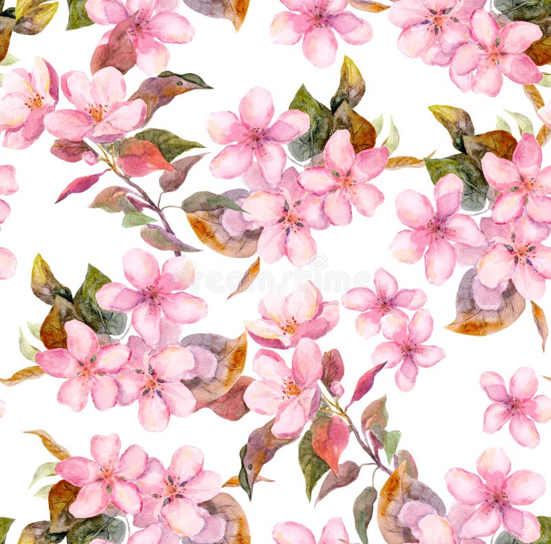 La manzana rosada de la fruta, cereza, Sakura florece Plantilla floral inconsútil Acuarela en el fondo blanco ilustración del vector La manzana rosada de la fruta, cereza, Sakura florece Plantilla floral inconsútil Acuarela en el fondo blanco ilustración del vector