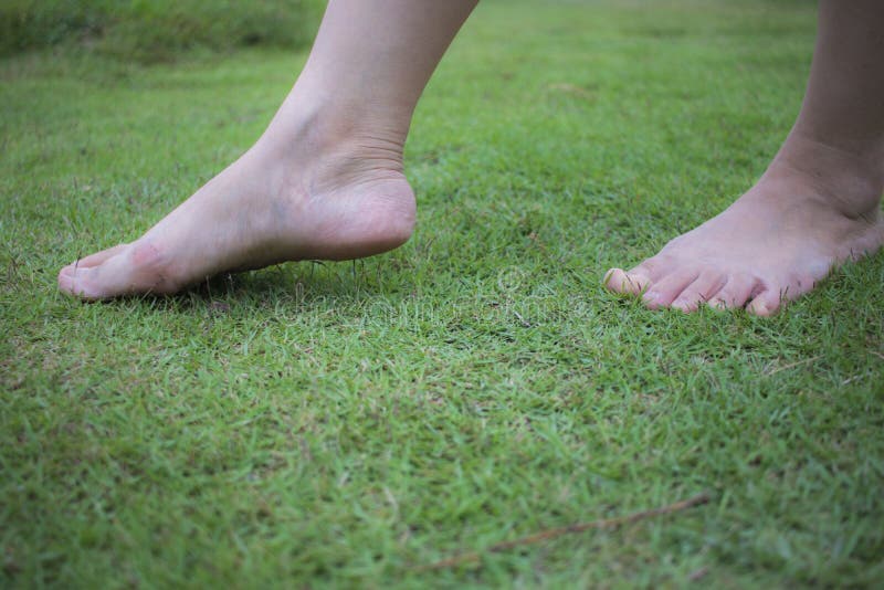 La marche aux pieds nus de la jeune femme sur l'herbe fra?che et verte en ?t? ensoleill? pendant le matin Moment reposant Style d photos stock La marche aux pieds nus de la jeune femme sur l'herbe fra?che et verte en ?t? ensoleill? pendant le matin Moment reposant Style d photos stock