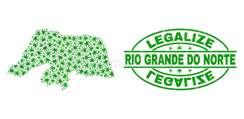 La marijuana sale del collage Rio Grande Do Norte State que el mapa con legaliza el sello del sello del Grunge ilustración del vector La marijuana sale del collage Rio Grande Do Norte State que el mapa con legaliza el sello del sello del Grunge ilustración del vector