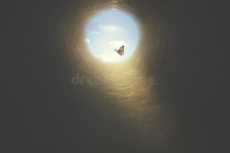 Colorful butterfly finds its way out of a dark tunnel, concept of freedom. Colorful butterfly finds its way out of a dark tunnel, concept of freedom
