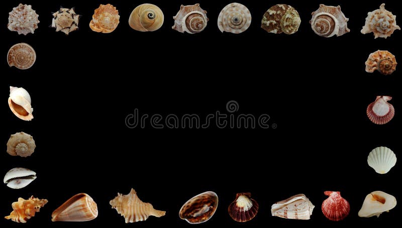 La mer d'été écosse le fond noir de bannière images stock La mer d'été écosse le fond noir de bannière images stock