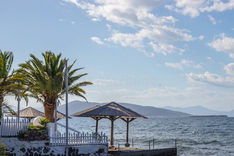 Mer bleue et ciel et café sur une île tropicale. Beau café avec palmiers en bord de mer et ciel bleu nuageux
