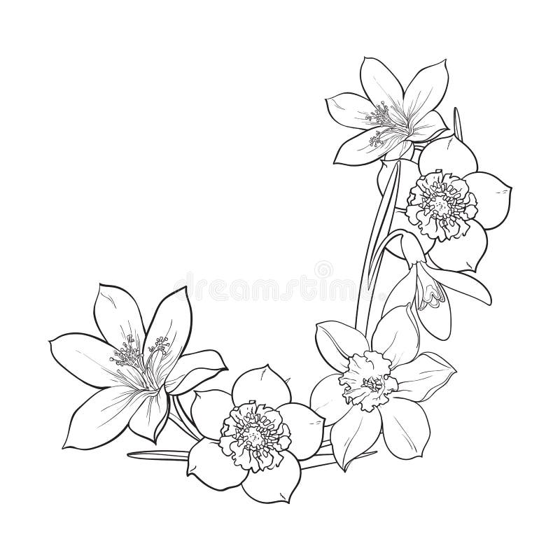 La mezza struttura della molla fiorisce, elemento della decorazione, illustrazione di vettore di schizzo illustrazione di stock La mezza struttura della molla fiorisce, elemento della decorazione, illustrazione di vettore di schizzo illustrazione di stock
