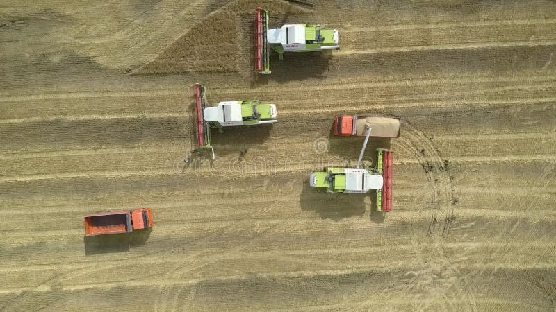 La moissonneuse supérieure étroite de vue charge le grain dans le camion orange banque de vidéos