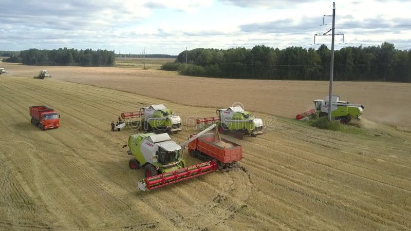 La moissonneuse supérieure étroite de vue verse le grain de blé dans le camion banque de vidéos