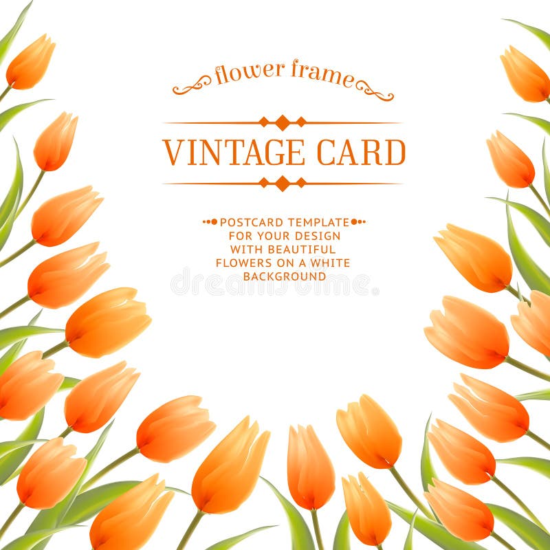 La molla del tulipano fiorisce il mazzo per la vostra progettazione di carta. illustrazione vettoriale La molla del tulipano fiorisce il mazzo per la vostra progettazione di carta. illustrazione vettoriale