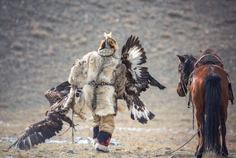 La Mongolia occidentale, Eagle Festival dorato Il nomade mongolo sopporta due Golden Eagles in sue mani dopo la concorrenza del ` immagine stock La Mongolia occidentale, Eagle Festival dorato Il nomade mongolo sopporta due Golden Eagles in sue mani dopo la concorrenza del ` immagine stock