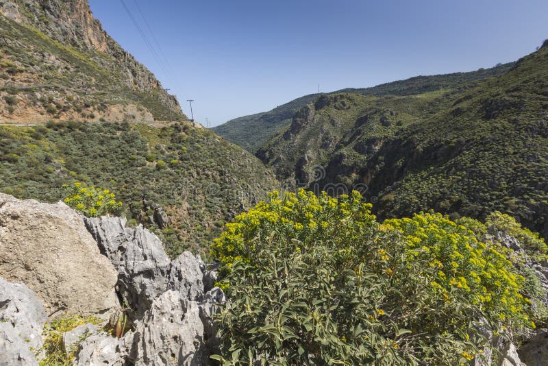 La montaña hermosa ajardina en Preveli en Creta, Grecia fotos de archivo libres de regalías La montaña hermosa ajardina en Preveli en Creta, Grecia fotos de archivo libres de regalías