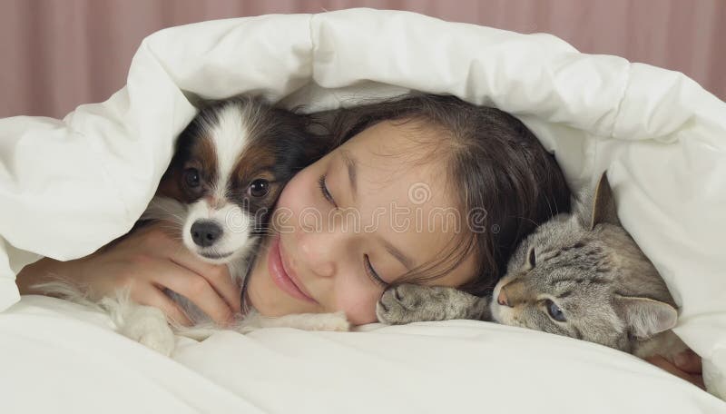 Happy teen girl communicates with dog Papillon and Thai cat in the bed. Happy teen girl communicates with dog Papillon and Thai cat in the bed