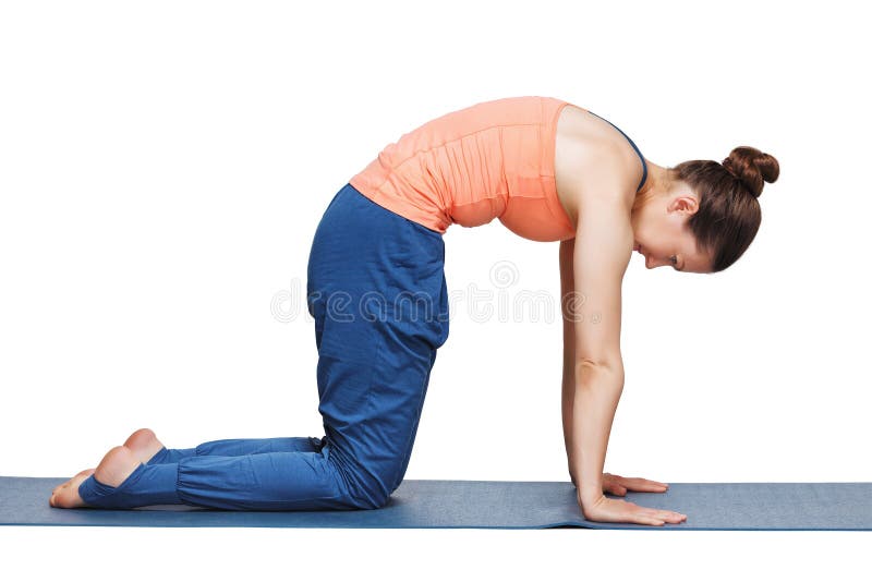 La mujer deportiva hermosa del yogini del ajuste practica marjariasana del asana de la yoga fotografía de archivo La mujer deportiva hermosa del yogini del ajuste practica marjariasana del asana de la yoga fotografía de archivo