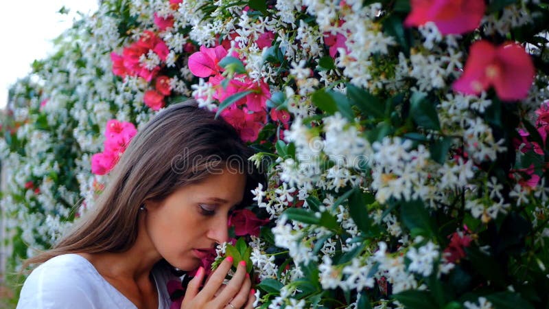 La mujer hermosa joven huele las flores