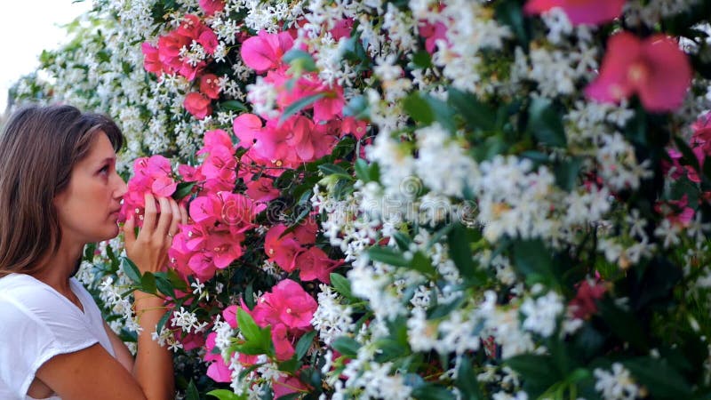 La mujer hermosa joven huele las flores