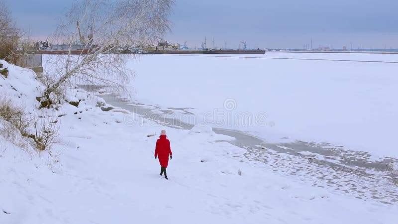 La mujer joven de la opinión de la parte trasera en chaqueta larga roja camina en el banco nevado del río con el abedul creciente