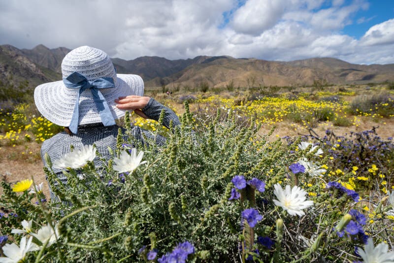 La mujer mira apagado a las montañas, llevando un capo blanco del sombrero de paja con un arco, rodeado por los wildflowers imagen de archivo libre de regalías La mujer mira apagado a las montañas, llevando un capo blanco del sombrero de paja con un arco, rodeado por los wildflowers imagen de archivo libre de regalías