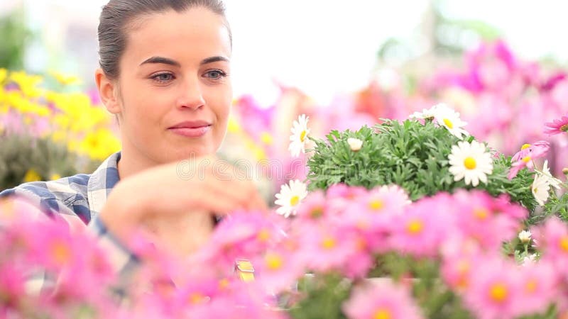 La mujer sonriente de la primavera huele las margaritas en jardín