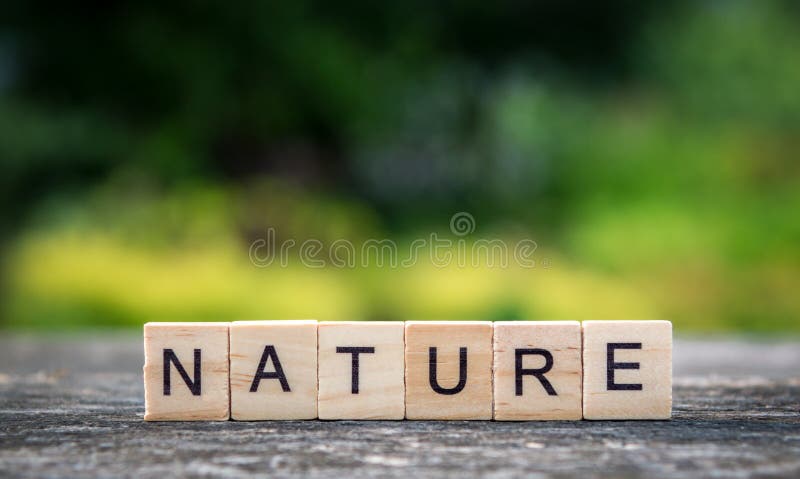 La natura di parola, composta delle plance di legno leggere sul backgroun immagini stock libere da diritti La natura di parola, composta delle plance di legno leggere sul backgroun immagini stock libere da diritti