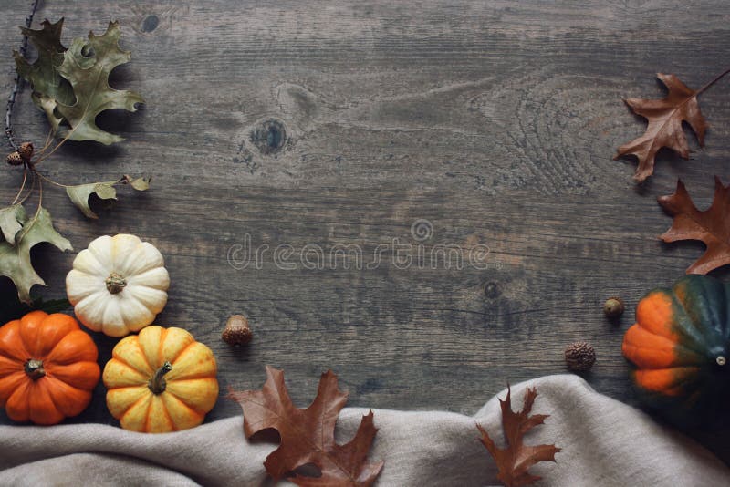 La natura morta di stagione di ringraziamento con le piccole zucche variopinte, la zucca di ghianda, la coperta molle e la caduta fotografie stock libere da diritti La natura morta di stagione di ringraziamento con le piccole zucche variopinte, la zucca di ghianda, la coperta molle e la caduta fotografie stock libere da diritti