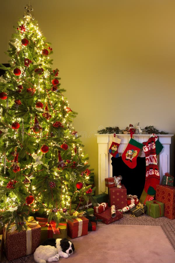 La Navidad en el país fotografía de archivo La Navidad en el país fotografía de archivo