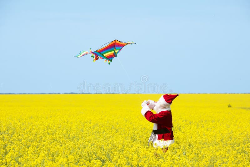 La Navidad Santa Claus arrojar una cometa en campo amarillo floreciente foto de archivo libre de regalías La Navidad Santa Claus arrojar una cometa en campo amarillo floreciente foto de archivo libre de regalías