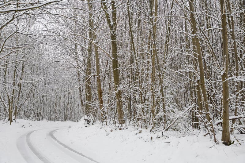 La neige a couvert la scène rurale en Kent England. photographie stock libre de droits La neige a couvert la scène rurale en Kent England. photographie stock libre de droits