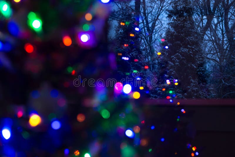 La neige a couvert les arbres à feuilles persistantes la nuit d'arbre de Noël lumineux defocused dans le premier plan image libre de droits La neige a couvert les arbres à feuilles persistantes la nuit d'arbre de Noël lumineux defocused dans le premier plan image libre de droits