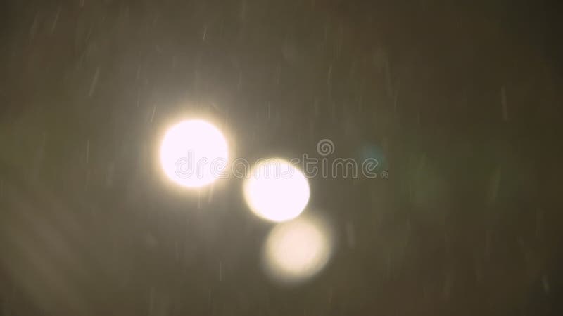 La nieve cae en una ventisca iluminada por tres fuertes luces exteriores de noche