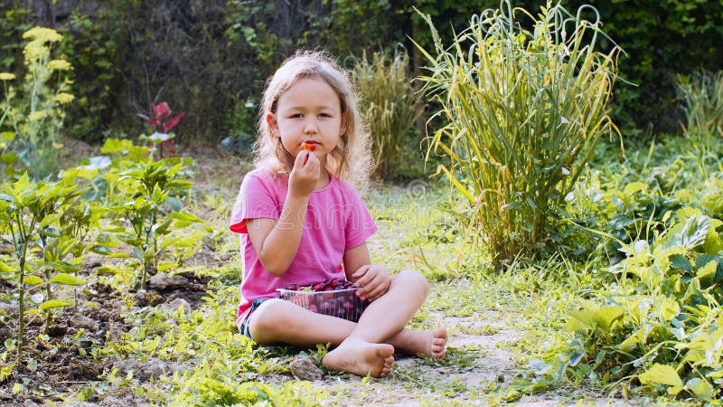 La niña está comiendo la fresa y está mirando la cámara que se sienta en la hierba foto de archivo La niña está comiendo la fresa y está mirando la cámara que se sienta en la hierba foto de archivo