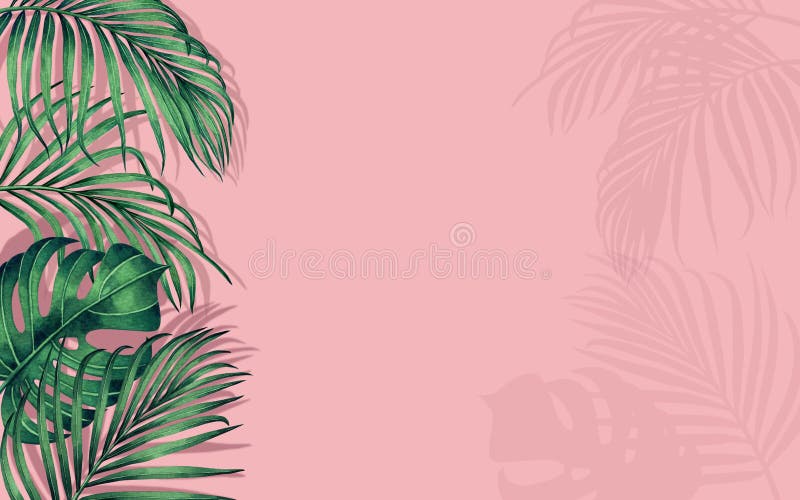 La noix de coco du. net aquarelle quitte la feuille de vert monstera palm sur l'illustration tirée par la main e tropical de backgr illustration libre de droits