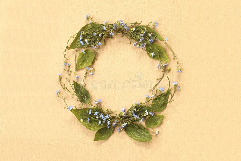 La nomeolvides minimalistic de la endecha plana florece el marco en la cartulina foto de archivo La nomeolvides minimalistic de la endecha plana florece el marco en la cartulina foto de archivo